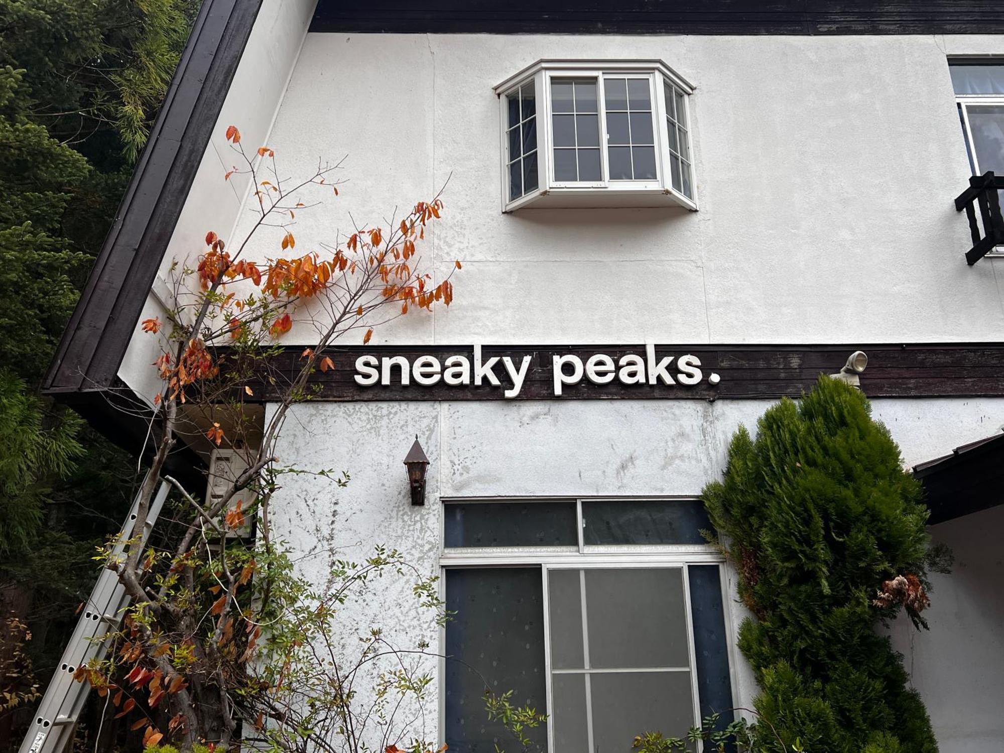 Sneaky Peaks Hotel Hakuba Buitenkant foto